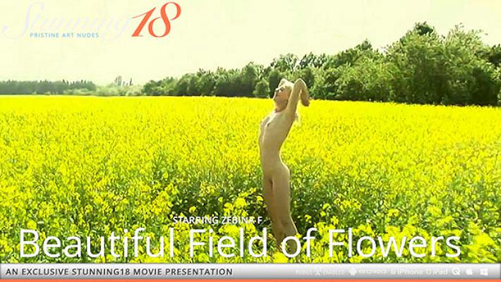 [Stunning18×Zebina F] 2022-05-28 Beautiful Field of Flowers